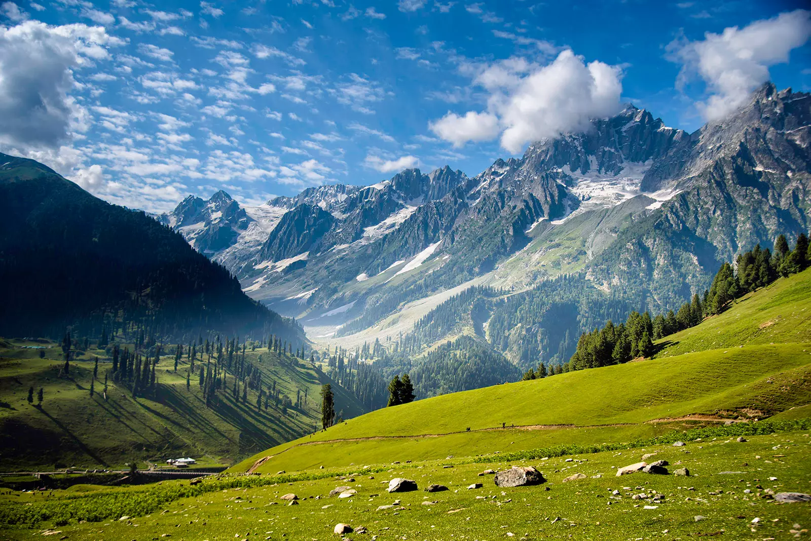 Nature Photography