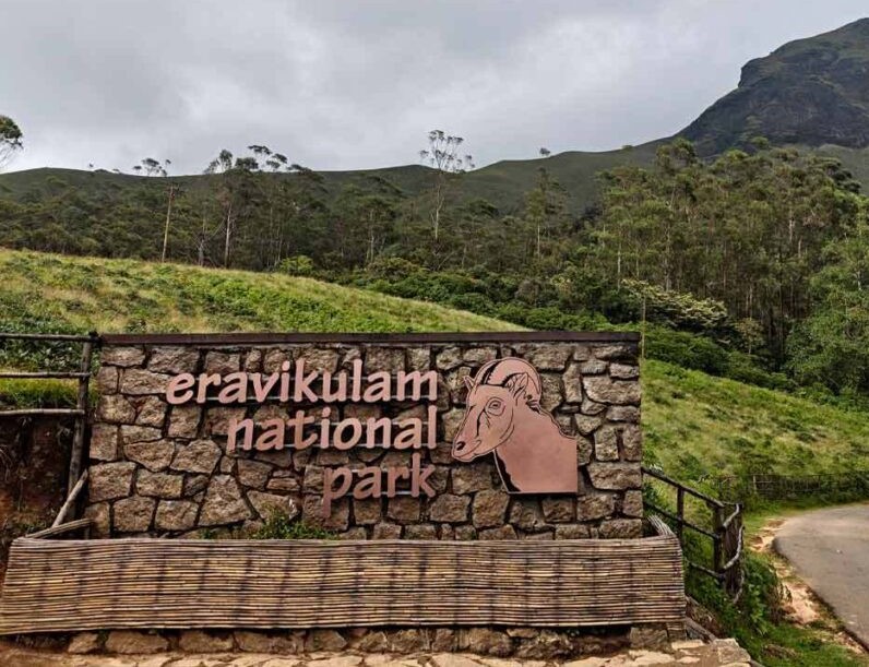 Eravikulam National Park