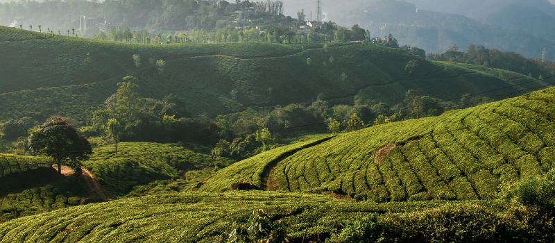 Kerala Tour Package