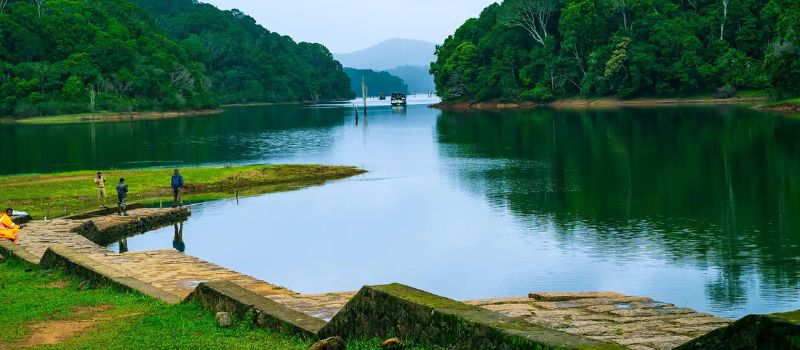  Kerala Wilderness Tour 