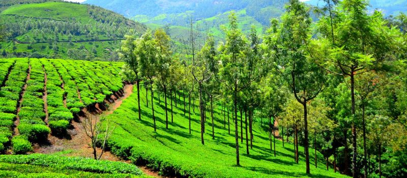  Kerala Tour Package