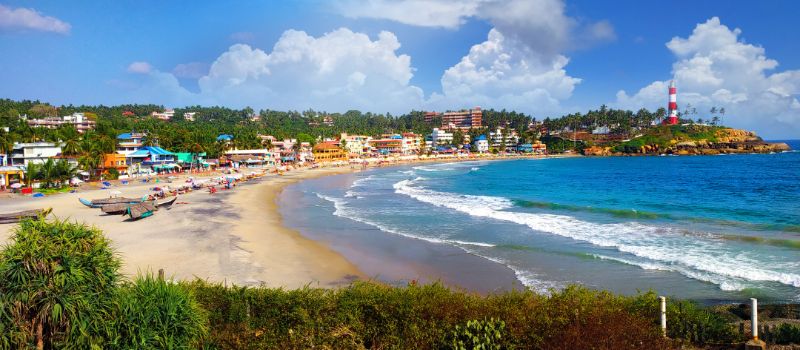  Kerala Coconut Tour 