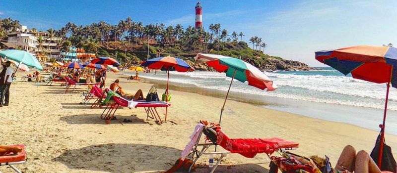  Kerala Coconut Tour 