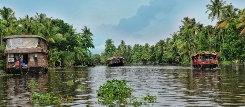  Kerala Coconut Tour 