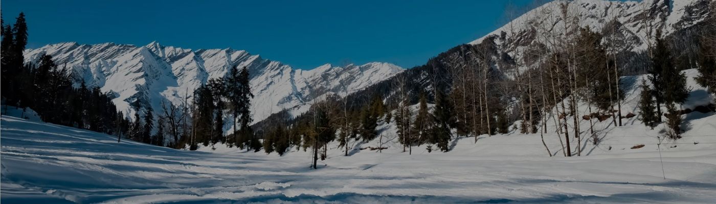 Best Travel Agent for Manali Tour Package