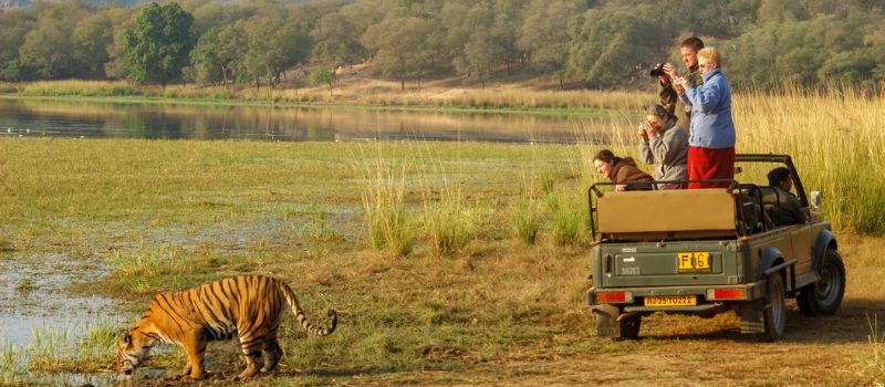  Royal Rajasthan Tour package 