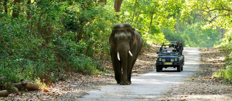 nainital Tour package 