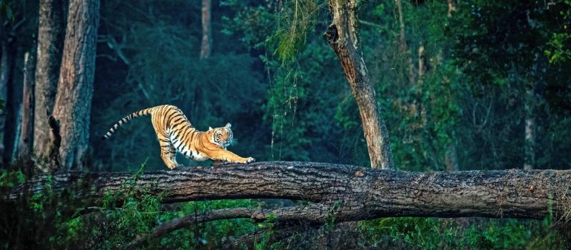  Uttarakhand Tour package 