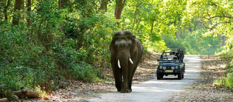  Uttaranchal Tour package 